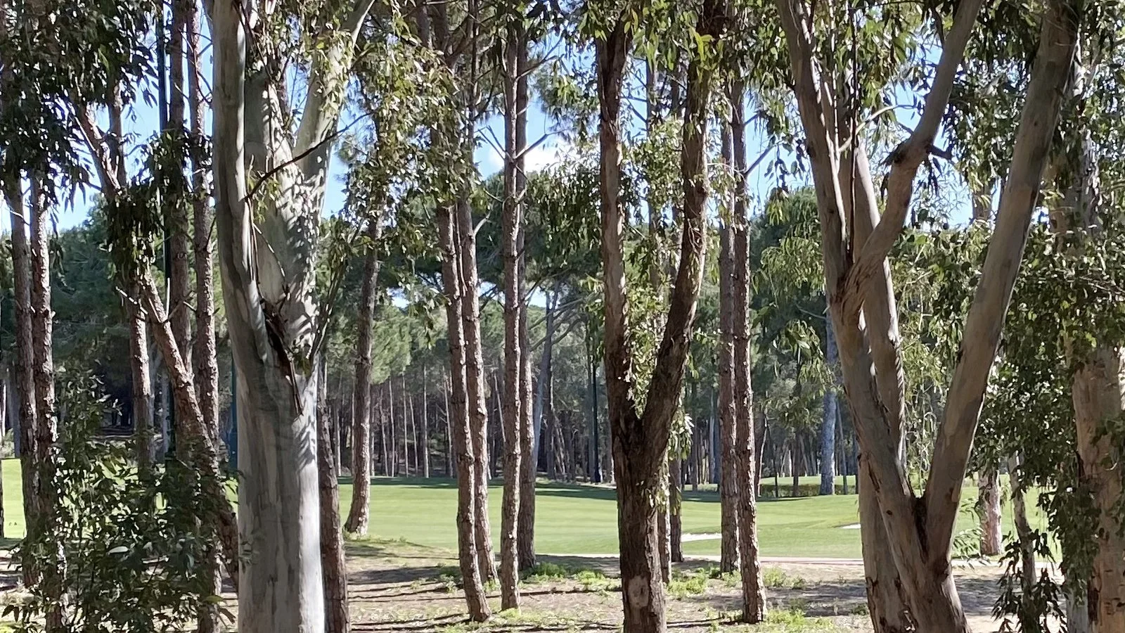 Carya Golf Club — archive photograph