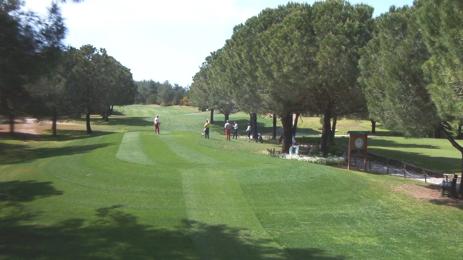 National Golf Club — archive photograph