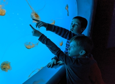 Antalya Aquarium Tour