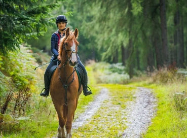 Horse Safari Tour